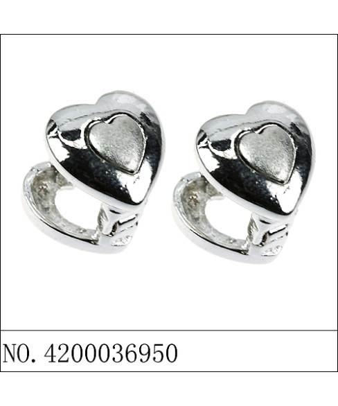 Earrings White Gold