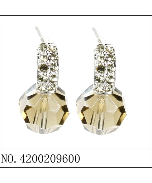 Earrings Black