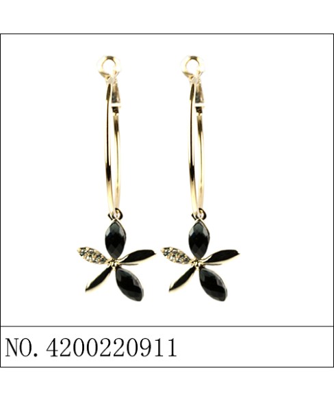 Earrings Gold