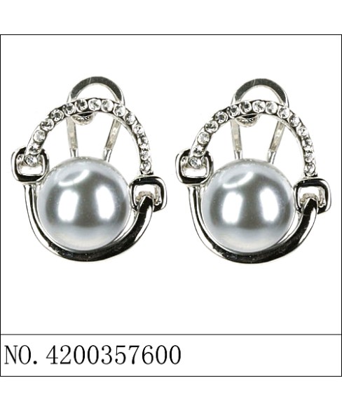 Earrings Gray