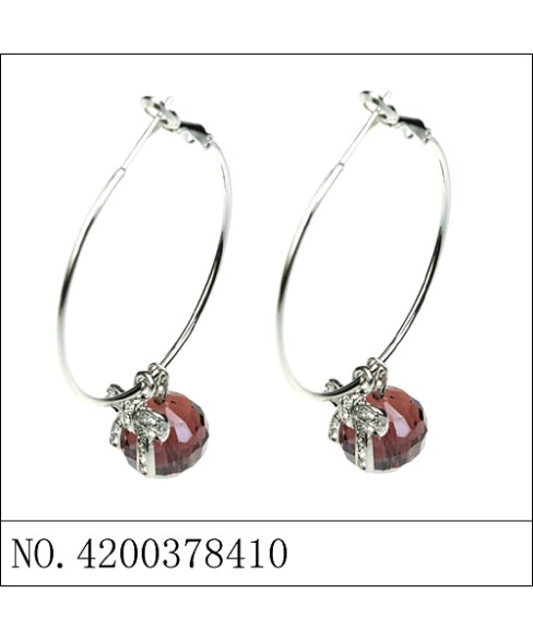 Earrings Brown