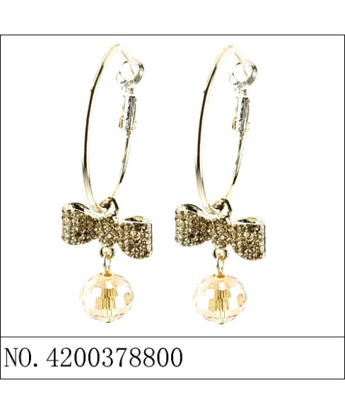 Earrings Brown