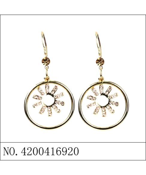 Earrings White