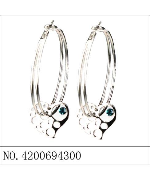 Earrings White Gold