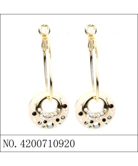 Earrings Gold