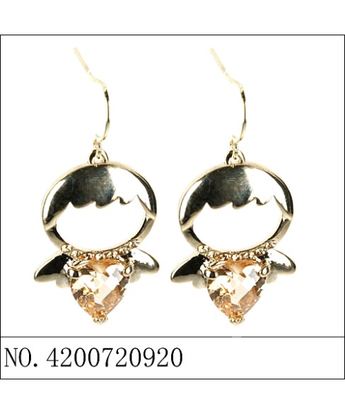 Earrings Black