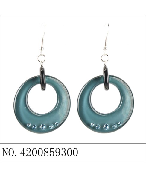 Earrings Blue