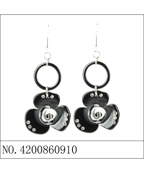 Earrings Brown