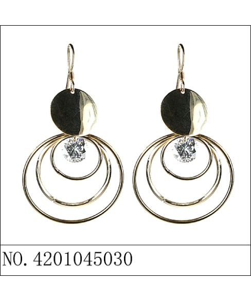 Earrings Stripe