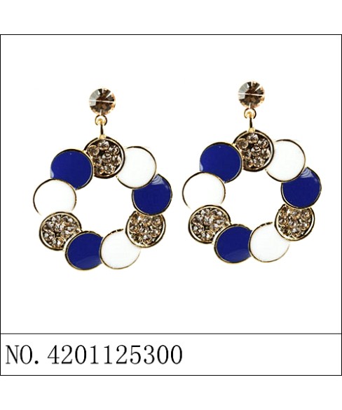 Earrings Blue