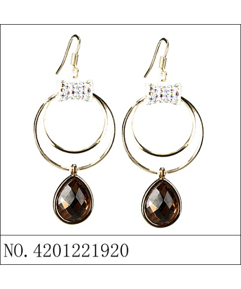 Earrings Gold