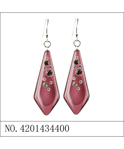 Earrings Brown