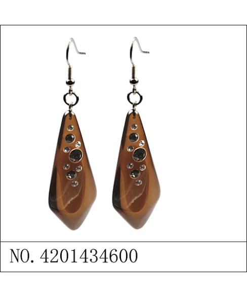 Earrings Brown