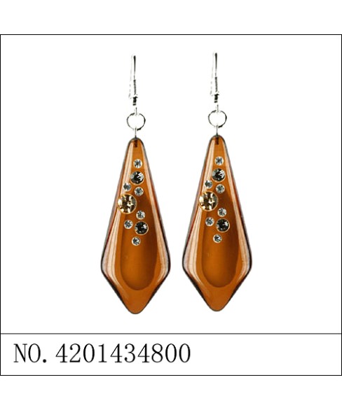 Earrings Brown