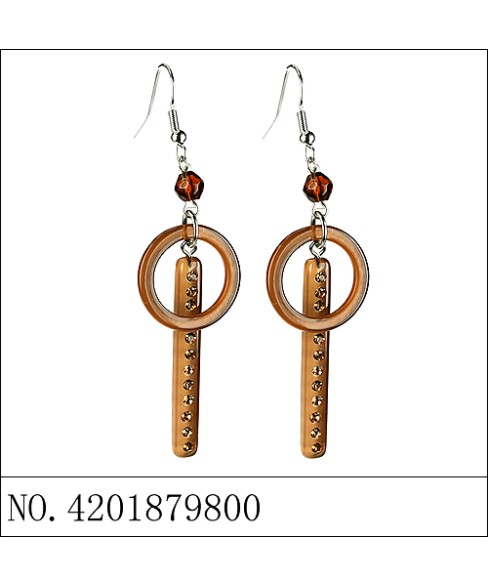 Earrings Brown