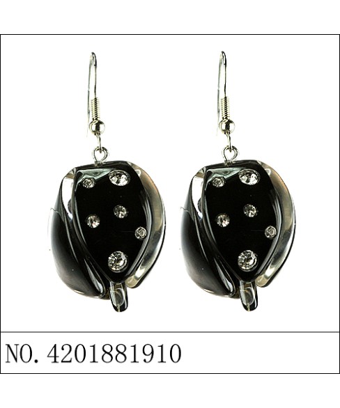 Earrings Black