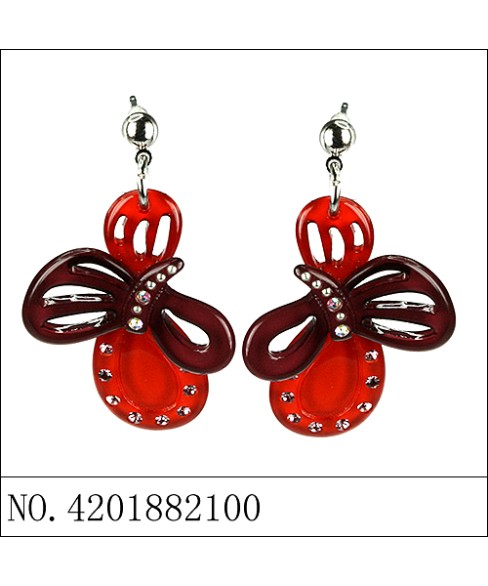 Earrings Brown