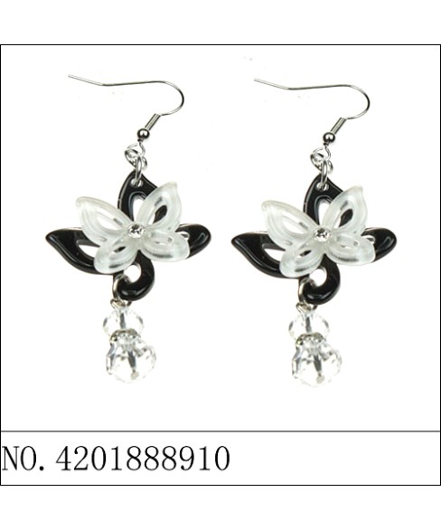 Earrings Brown