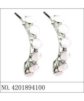 Earrings Red