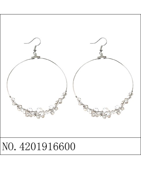 Earrings Gray