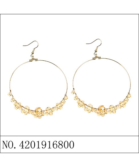 Earrings Black