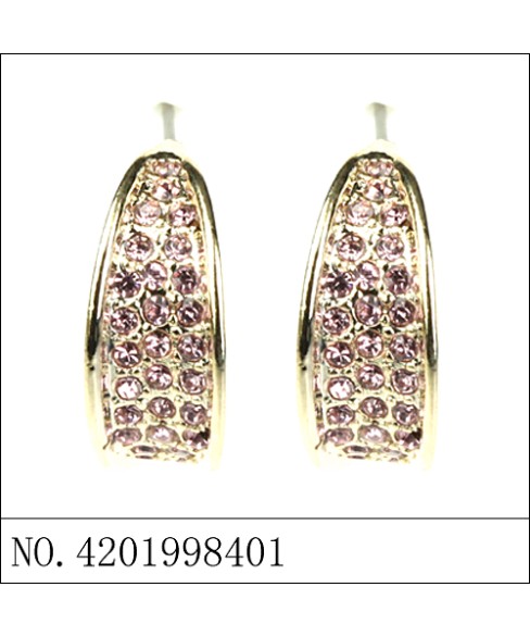 Earrings Gold