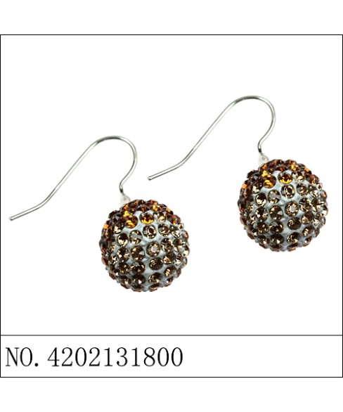 Earrings Brown