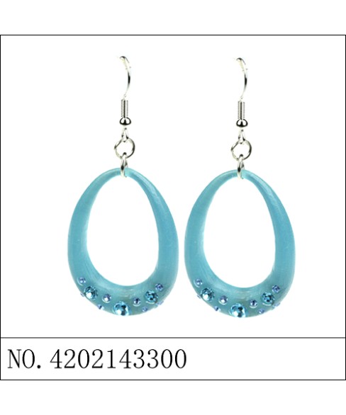 Earrings Brown