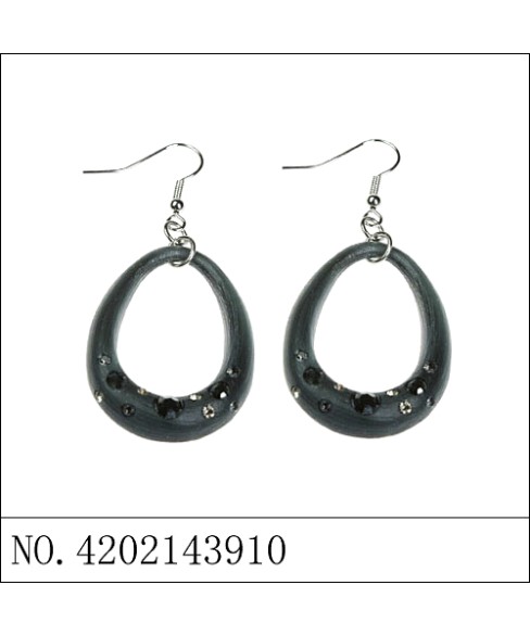 Earrings Black