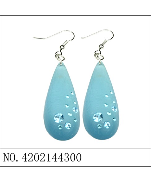 Earrings Blue