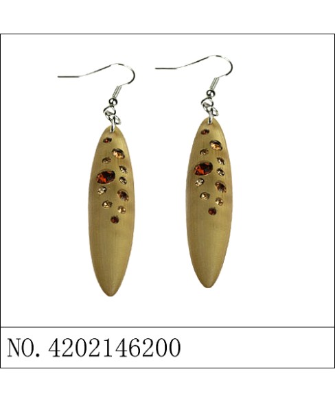 Earrings Brown