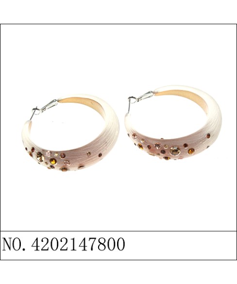 Earrings Brown