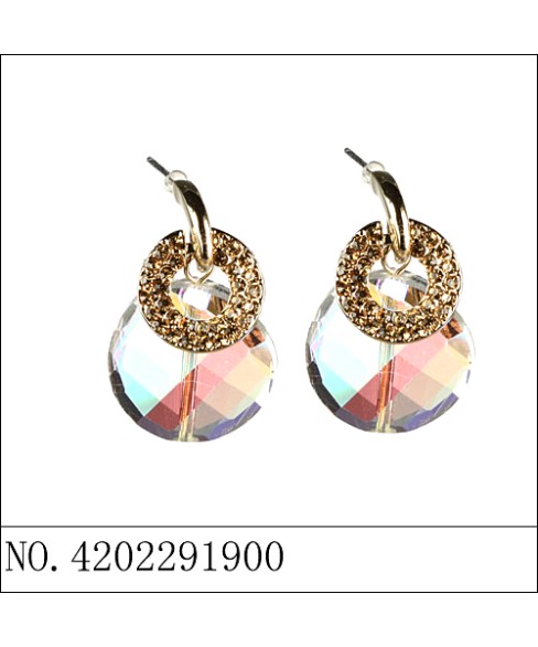 Earrings Black