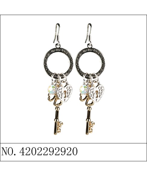 Earrings Gold