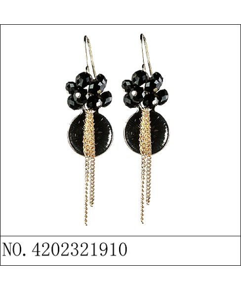 Earrings Black