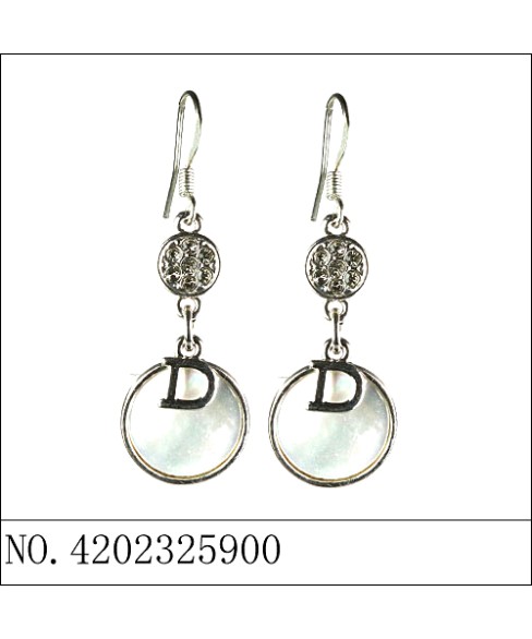 Earrings Blue