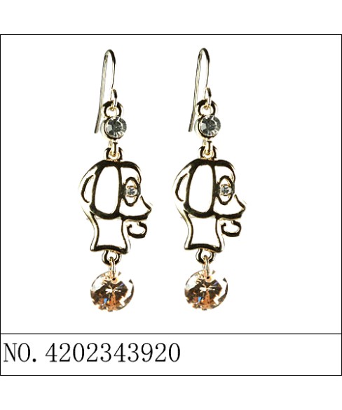 Earrings Gold