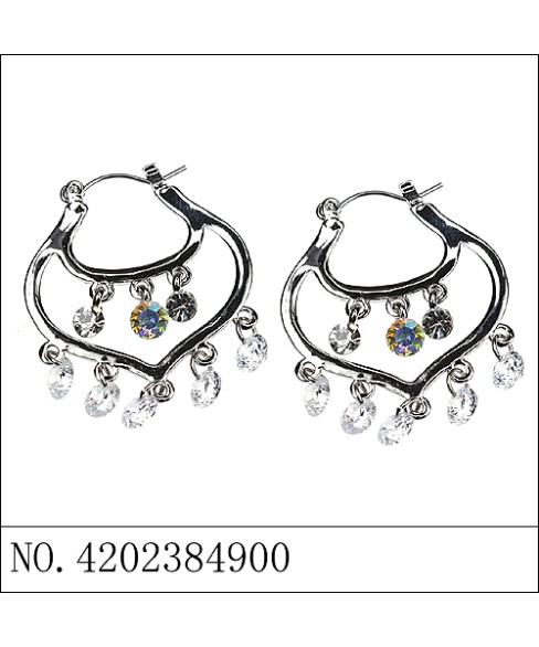 Earrings Brown