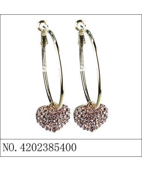 Earrings Brown