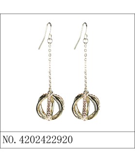 Earrings Gold