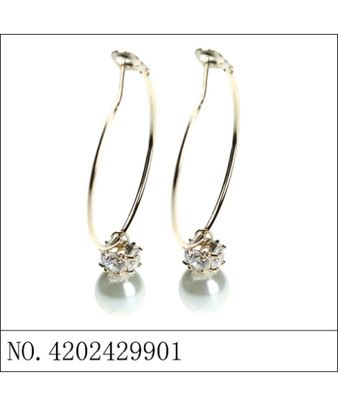 Earrings Brown