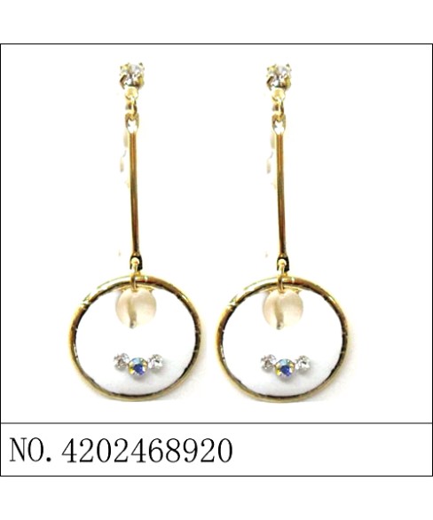 Earrings Blue