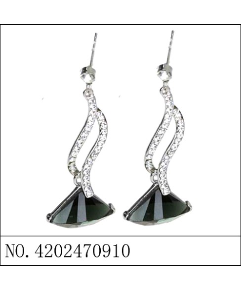 Earrings Black