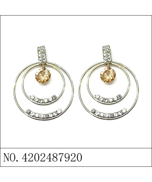 Earrings Gold