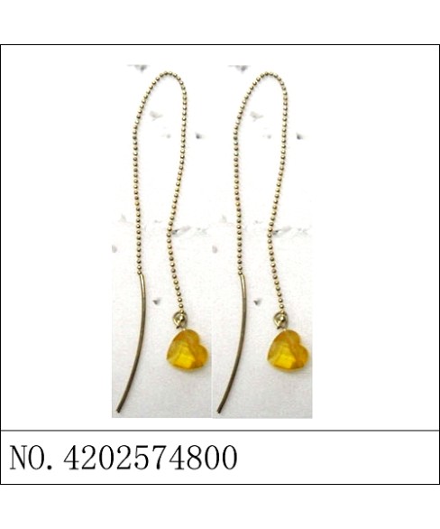 Earrings Brown