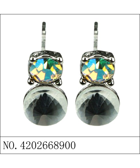 Earrings Gray