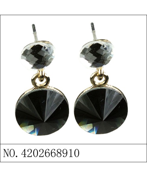 Earrings Gray