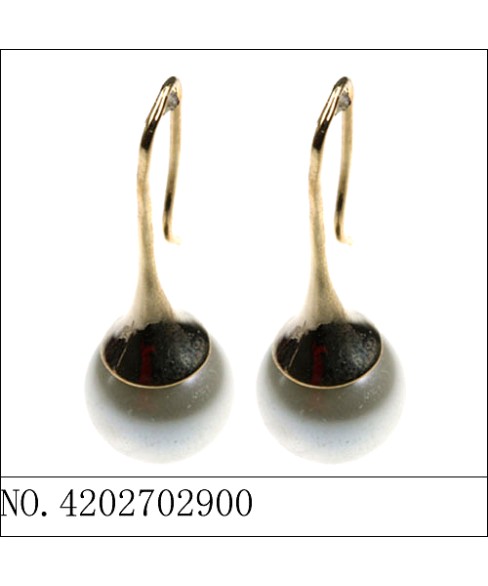 Earrings Brown