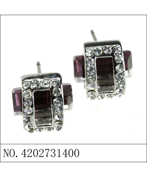 Earrings Brown