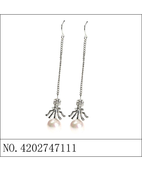 Earrings Black